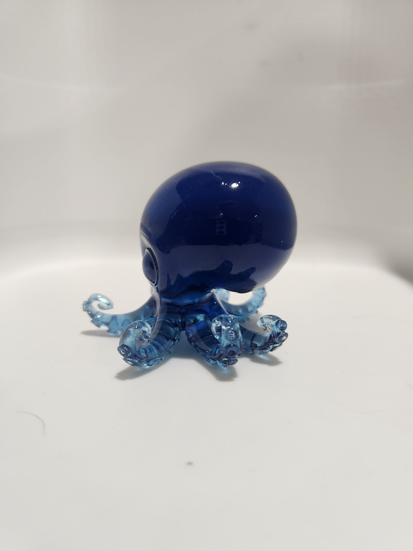 100% Occie Bucket - Preorder