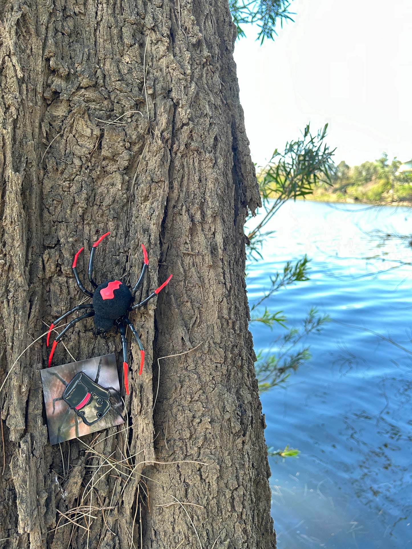 Redback R.K. Helmet Enamel Pin