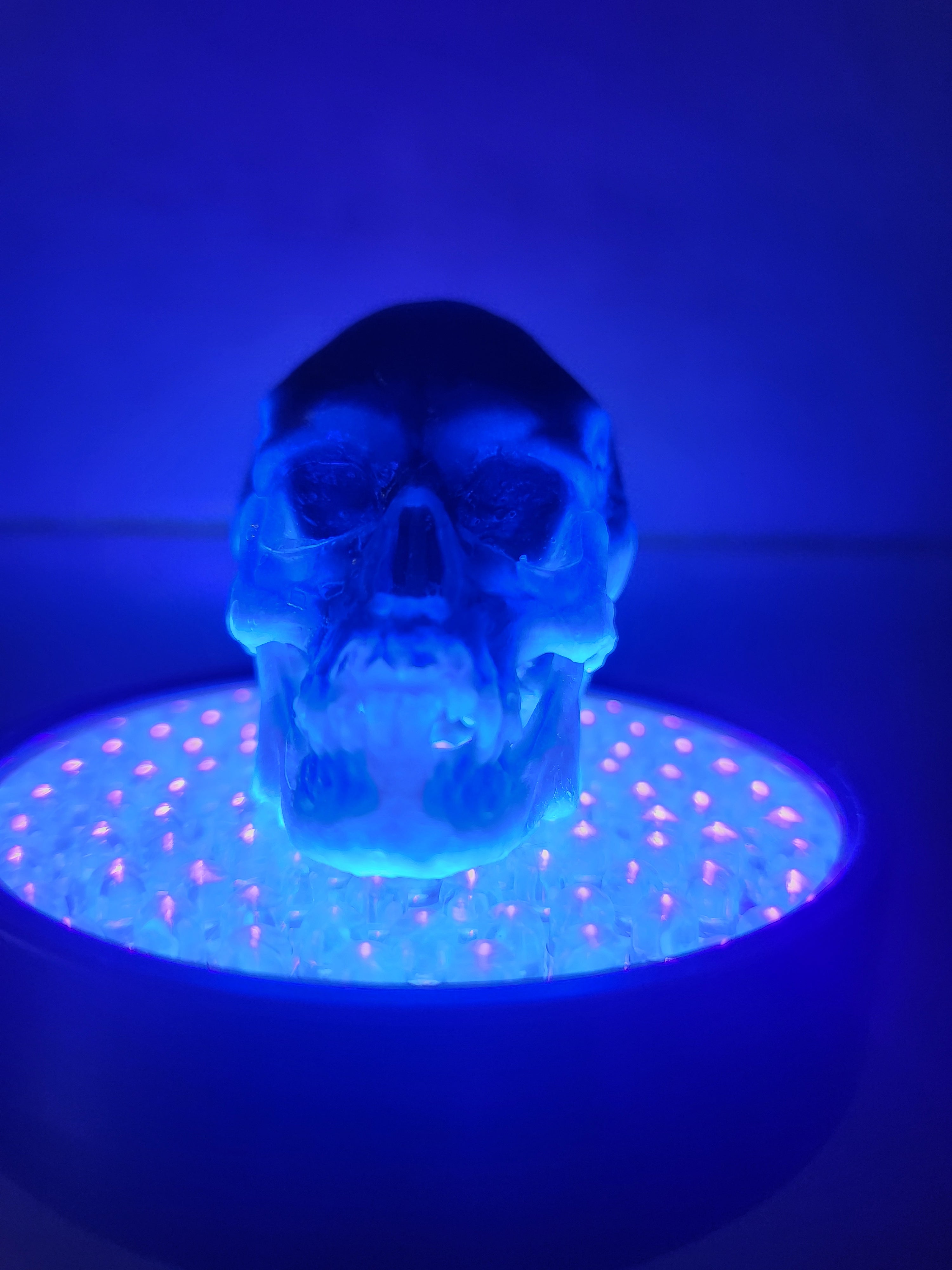 Skull Resin Figure - Black